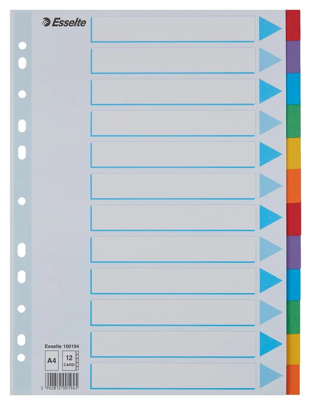 esselte-register-a4-12-teilig-mehrfarbig-recyclingkarton-mit-deckblatt image 1