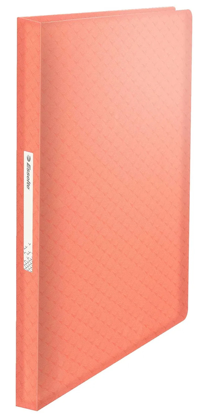 esselte-colour-ice-sichtbuch-a4-80-h-llen-f-r-160-blatt-pp-pfirsich image 1