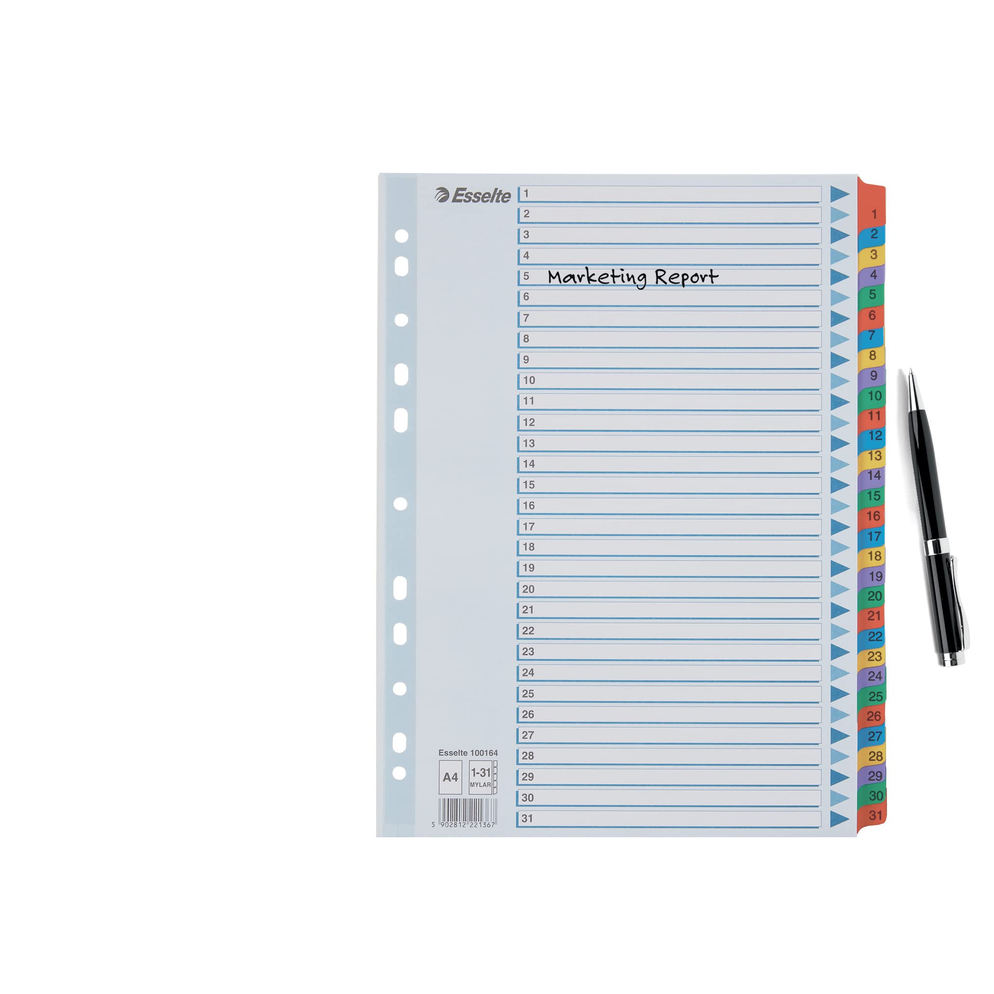 esselte-register-a4-1-31-mit-deckblatt-blau-100164 image 6