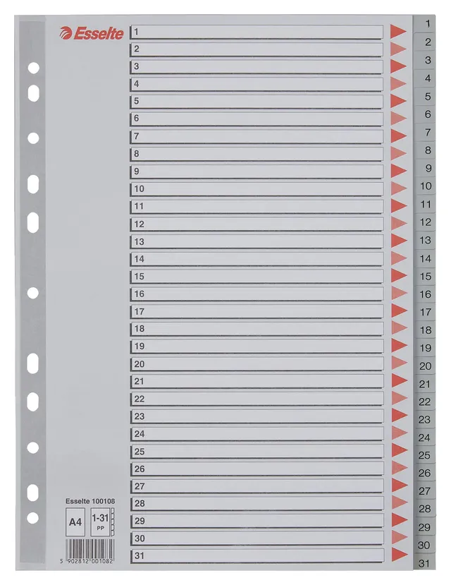 esselte-register-a4-1-31-berbreite-31-trennbl-tter-kunststoff-grau-100108 image 1