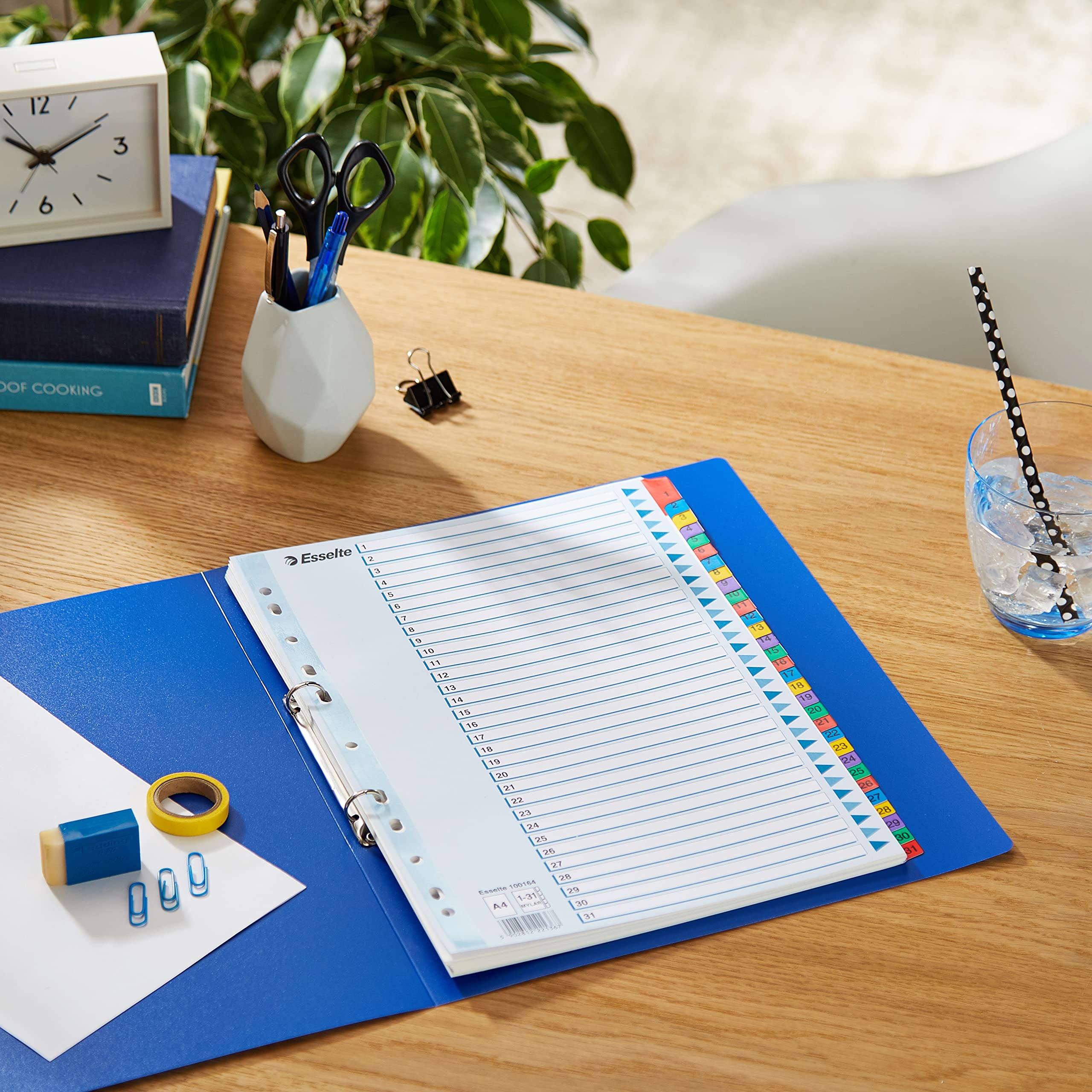 esselte-register-a4-1-31-mit-deckblatt-blau-100164 image 8