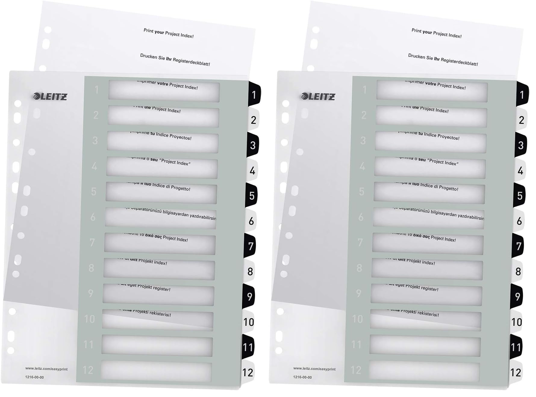 leitz-cosy-pc-beschriftbares-register-a4-1-20-mehrfarbig-12490000 image 8