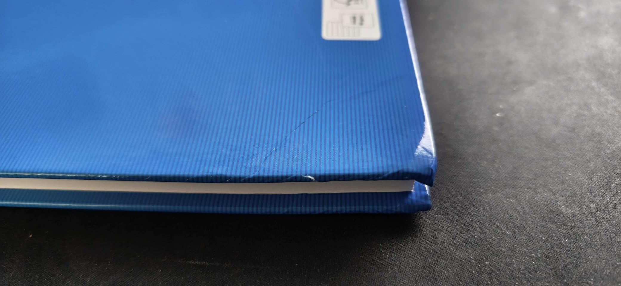 Mein Tagebuch-Liebling