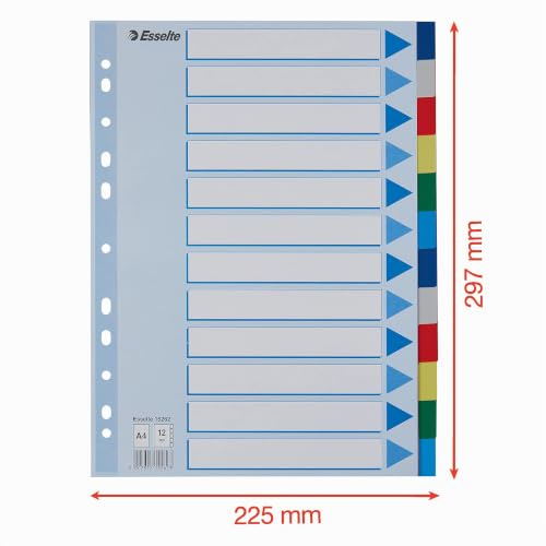 esselte-register-a4-12-teilig-mehrfarbig-kunststoff-mit-deckblatt image 5