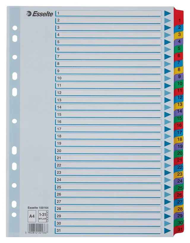 esselte-register-a4-1-31-mit-deckblatt-blau-100164 image 1
