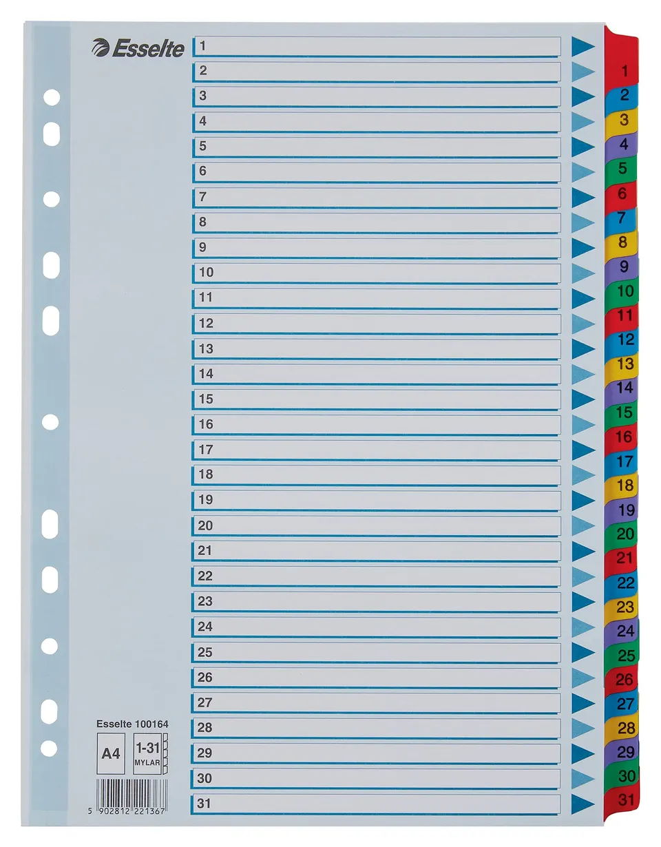 esselte-register-a4-1-31-mit-deckblatt-blau-100164 image 1