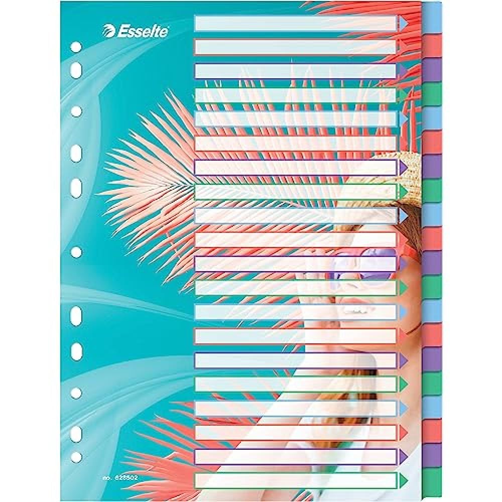 esselte-colour-breeze-a4-registerkarten-1-20-20-trennbl-tter-mehrfarbig image 1