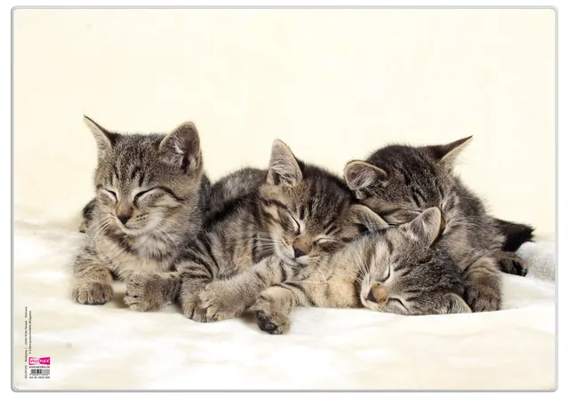 veloflex-schreibunterlage-poster-katzen-35x50cm-rutschfest-abwaschbar image 1