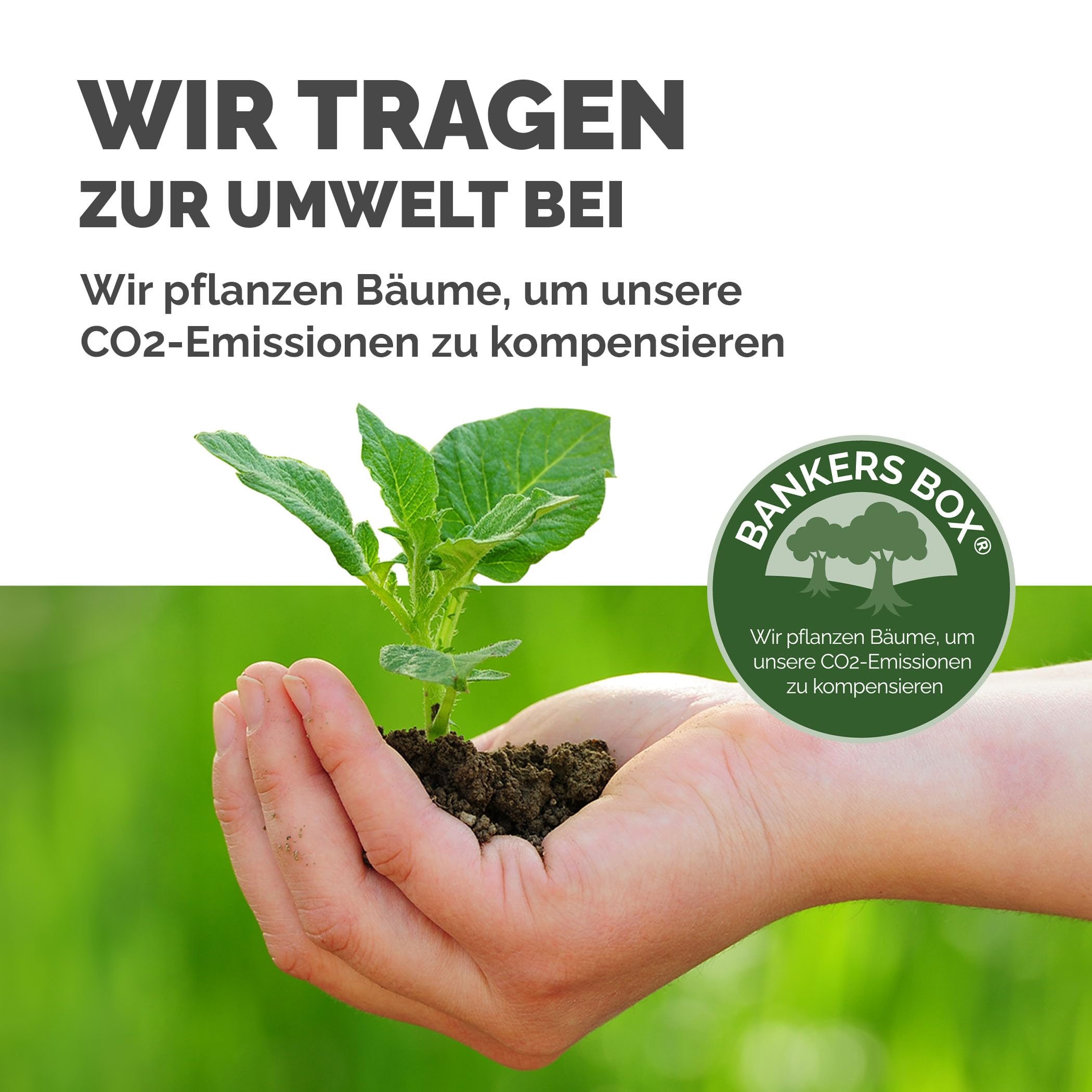 bankers-box-system-aufbewahrungsbox-15l-3er-pack-17x32x40-cm image 7