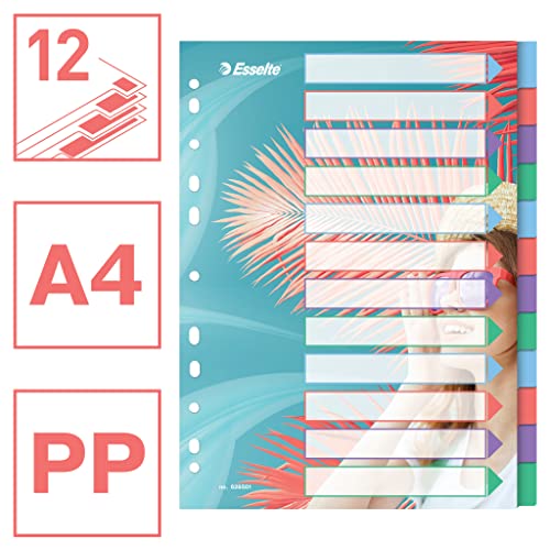 esselte-colour-breeze-a4-registerkarten-1-12-12-trennbl-tter-mehrfarbig image 8