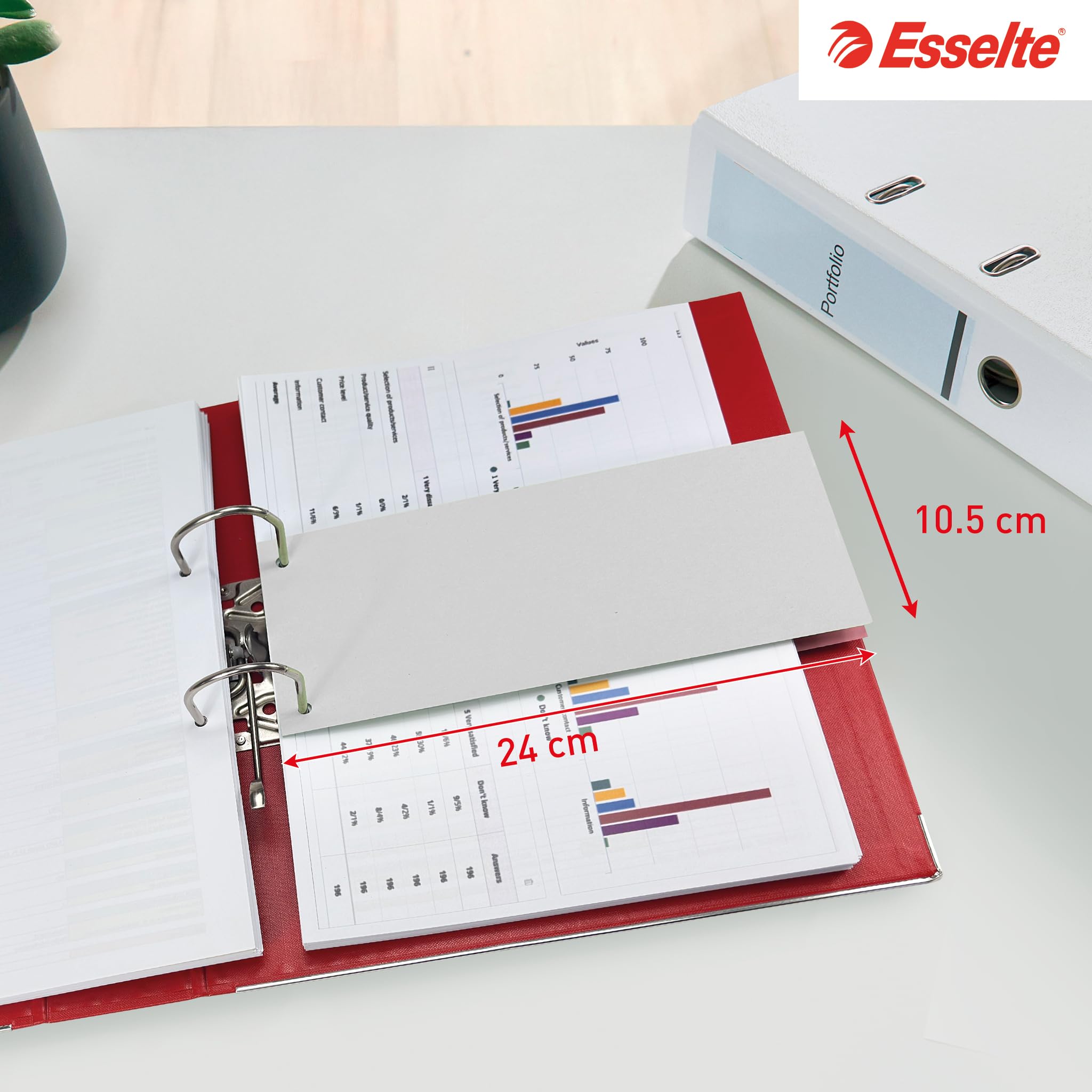 esselte-karton-trennbl-tter-100-blatt-10-5x24-cm-4-farbig image 3