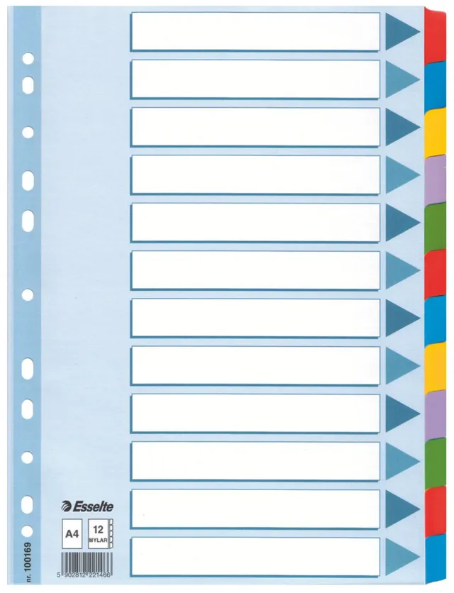 esselte-register-a4-12-teilig-recyclingkarton-mehrfarbig image 1