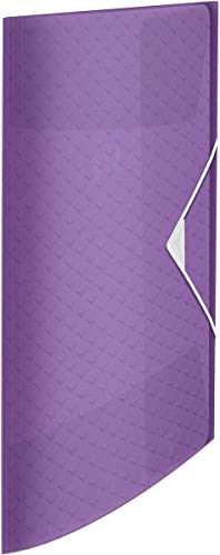 esselte-colour-breeze-3-f-cher-kunststoffordner-a4-lavendel-626440 image 4