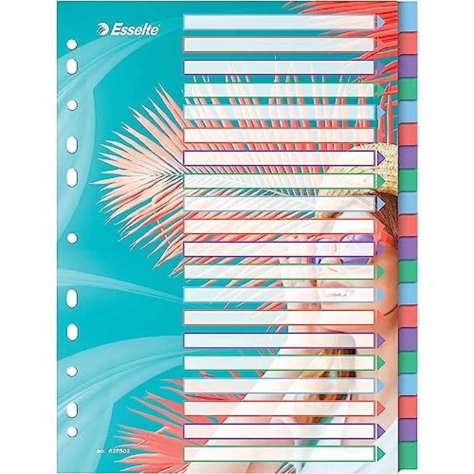 esselte-colour-breeze-a4-registerkarten-1-20-20-trennbl-tter-mehrfarbig image 1