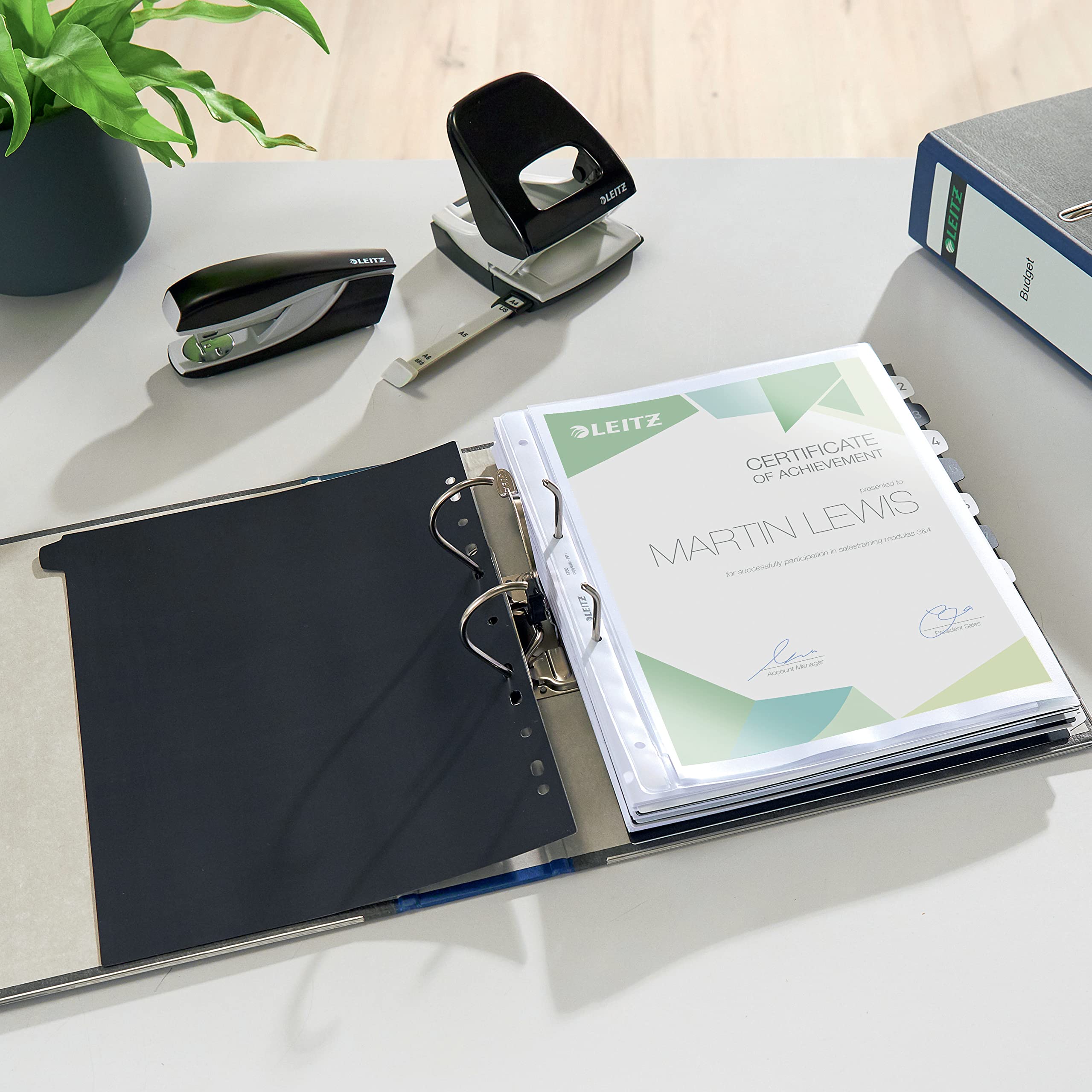 leitz-qualit-ts-ordner-180-a4-80-mm-r-cken-wolkenmarmor image 6