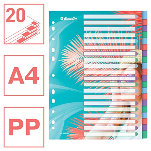 esselte-colour-breeze-a4-registerkarten-1-20-20-trennbl-tter-mehrfarbig image 8